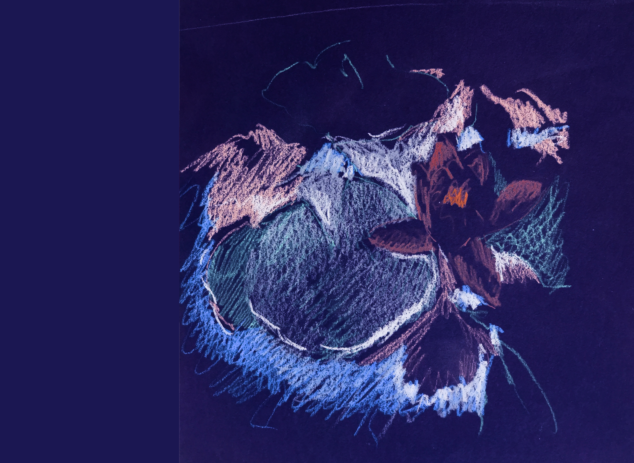 Synth&egrave;se Visuelle. Drawing. study of a water lily on blue paper