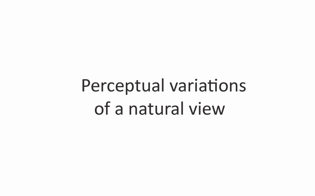 Synthèse Visuelle. Perceptual variations of a natural view