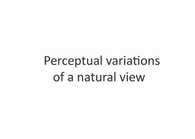 Synth&egrave;se Visuelle. Perceptual variations of a natural view