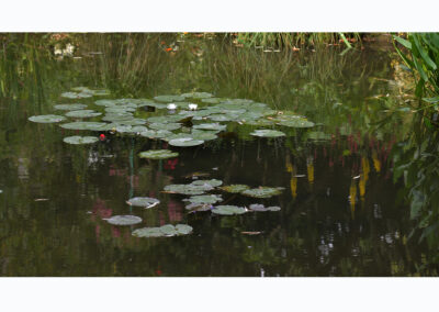 Synth&egrave;se Visuelle. Reflets liqu&eacute;fi&eacute;s du jardin d&rsquo;eau. N&eacute;nuphar alba. Le Jardin d&rsquo;eau de Giverny