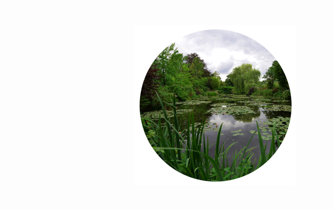 Synthèse Visuelle. Le jardin d’eau de Giverny