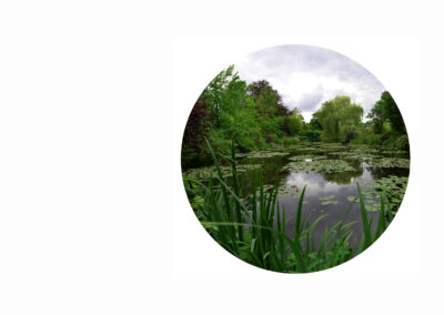 Synth&egrave;se Visuelle. Le jardin d&rsquo;eau de Giverny