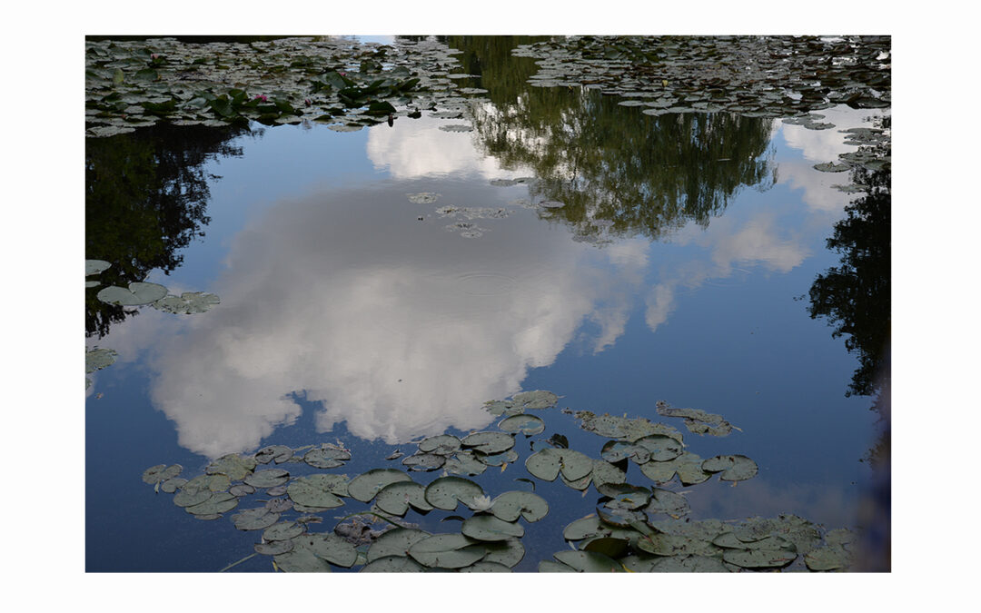 Synthèse Visuelle. The whims of heaven are the seeds of art