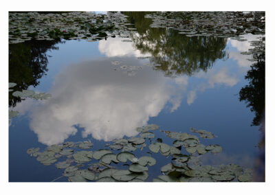 Synth&egrave;se Visuelle. The whims of heaven are the seeds of art